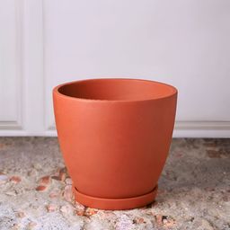 The handicraftian Brown 10 Pieces Clay Small Planters With Plates-image-82