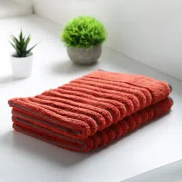 Spaces Exotica Dark Orange 575 GSM Cotton Hand Towel - Set of 2-picture-21