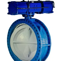 Delval 2 Inch, 50 mm Cast Iron Lever Operated Butterfly Valve-picture-26