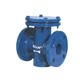 Kranti 12 inch, 300 mm Cast Iron T Type Strainer, PV-417-picture-2