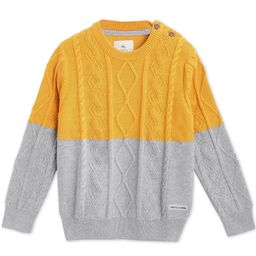 Cherry Crumble By Nitt Hyman Full Sleeves Cable Knit Colour Blocked Sweater - Mustard Yellow & Grey-picture-12