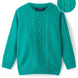 Pine Kids Knitted Full Sleeves Pullover Sweater with Cable Knit Design - Sea Green-image-55