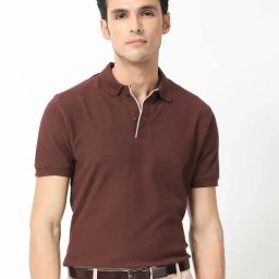 Rare Rabbit Brown Regular Fit Solid Polo T-Shirt-image-94