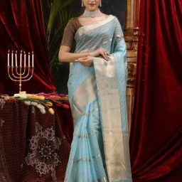 House Of Begum Firozi Banarasi Handloom Organza Saree With Blouse Piece-image-52
