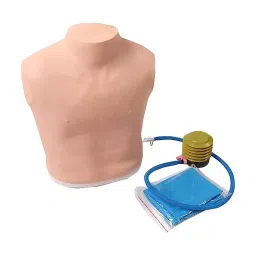 A-ONE SCIENCE PVC and Silicone Pneumuthograx Treating Model AOSBM262-38
