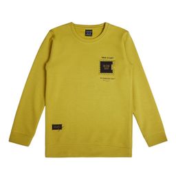 CAVIO Boys Round Neck Pullover Sweatshirt-image-99