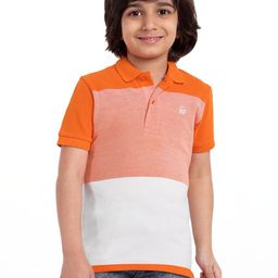 Arvind Garments Boys Pure Cotton Tshirts-image-113
