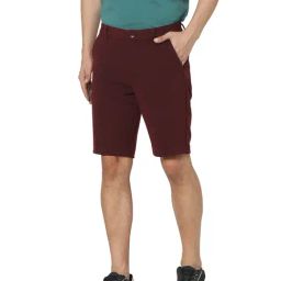 Jack & Jones Brick Red Self Striped Shorts-image-59
