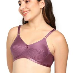 BLOSSOM Mauve Full Coverage Shaper Bra image 3