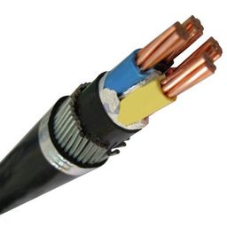 Polycab 2.5 Sq.mm 37 Core Copper Conductor Armoured LT Control Cable 2XWY/2XFY-image-98