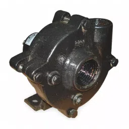 Dayton 3/4 HP Power Single Phase NPT Pedestal Pump, 2ZWX5-image-97