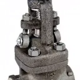 Zoloto 20 mm Forged Steel Standard Bore Gate Valve A 105 1075-image-77
