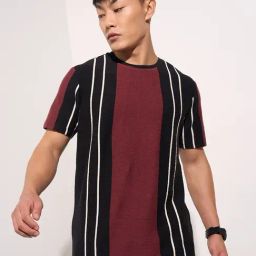 People By Pantaloons Maroon & Black Slim Fit Colour Block T-Shirt-picture-42