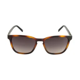 Opium Brown Wayfarer Sunglasses for Men-13