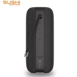 Just Corseca JST600 Black 4500mAh Sushi Grande Wireless Speaker-5