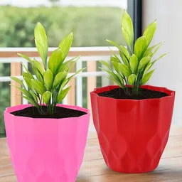 Kuber Industries 6Pc Pink & Red Barfi Pattern Durable Plastic Planters image 4