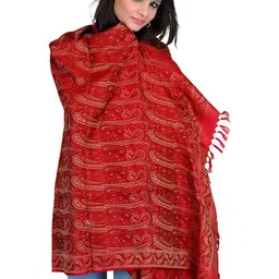 Exotic India Women Paisley Printed Shawl-picture-56