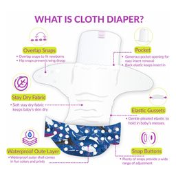 Bembika Reusable Cloth Diaper with Bamboo Insert Whale Print  - Blue image 4
