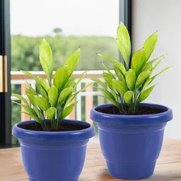 Kuber Industries Blue 3 Pieces Versatile & Sturdy Flower Planters-image-80