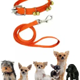 1/2 INCH RED GHUNGROO PUPPY BELT Dog & Cat Collar & Leash-16