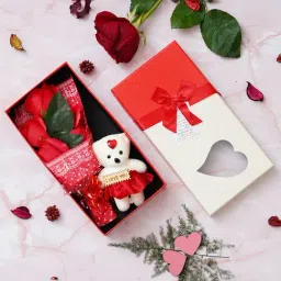 eCraftIndia Red & White Roses Bouquet and & Teddy Bear Gift Box-image-20