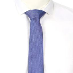 Van Heusen Blue Embroidered Tie-image-69