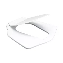 CERA CERAnglo Deluxe Plastic Seat Cover Super Special for EWC Toilet Seat, B1510120-image-19