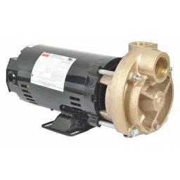 Dayton 3/4 HP Three Phase Turbine Pump, 53EA97-15