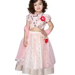 Saka Designs Short Sleeves Choli & Printed Lehenga With Net Dupatta Flower Applique - Peach-picture-1