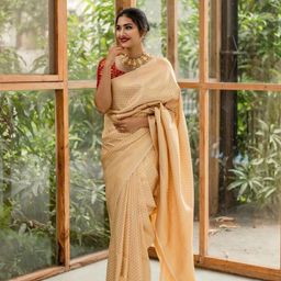 INDIOTSAV Woven Design Zari Banarasi Saree-34