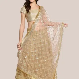 Dupatta Bazaar Blush pink Embellished Dupatta-18