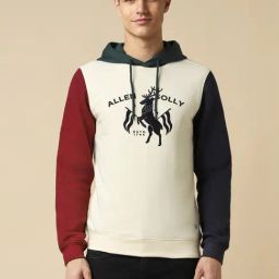 Allen Solly Beige Cotton Regular Fit Colour Block Hooded Sweatshirt-picture-12