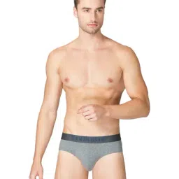 Van Heusen Regular Fit Superior Comfort Soft Touch Textured Briefs - Grey-picture-45