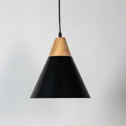 Whispering Homes Black Metal Empire Pendant Light-picture-30