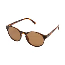 Roadies Brown Boston Unisex Sunglasses-picture-35