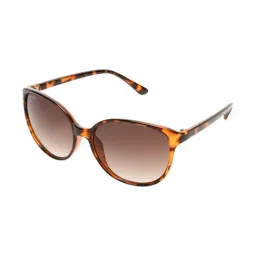 Roadies Brown Bug Eye Unisex Sunglasses-26