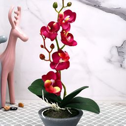 Myntra Elegant Homes Grey 1 Pieces Orchid Artificial Plant With Pot-44