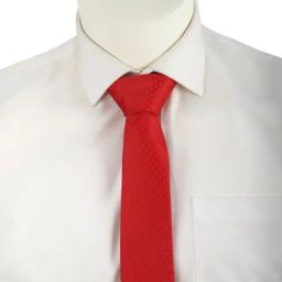 Van Heusen Red Printed Tie-image-78