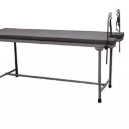 Wellton Healthcare Plain Gynaecological Examination Table WH-541-43