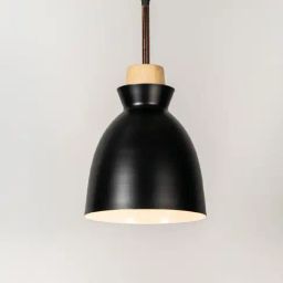 Whispering Homes Black Metal Horn Pendant Light-image-94
