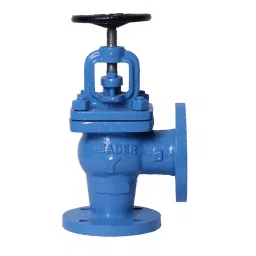 Leader CI 016A Cast Iron S Globe Valve PN - 10-image-67