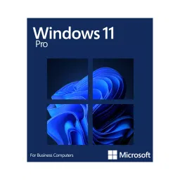 Microsoft Windows 11 Pro 64-Bit OEI DSP DVD Pack-11