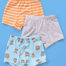 Babyhug 100% Cotton Knit Boxers Striped & Wild Animal Print Pack of 3 - Orange Grey & Blue-image-63
