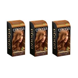 Enega Set Of 3 Long Lasting Creme Hair Color-150 ml Each Shade-Golden Brown-17