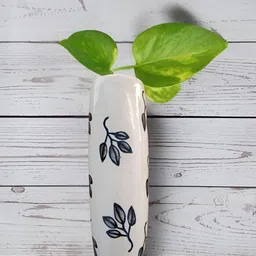 VarEesha Off-White PrintedCeramic Planters-image-92