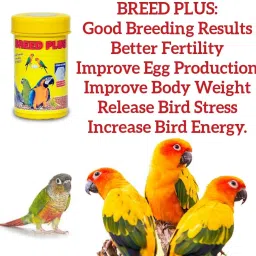tunai Star Frams Breed Plus for Bird Breeding Advanced Formula Pet Health Supplements image 2