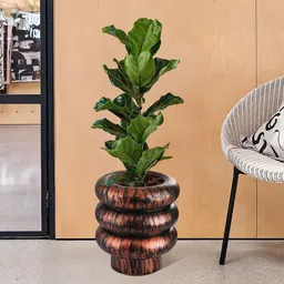 Kuber Industries Brown & Black Rust Ring TexturedPlanters image 2