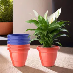 Kuber Industries Red & Blue Set Of 6 Plastic 2-Layer Planters-28