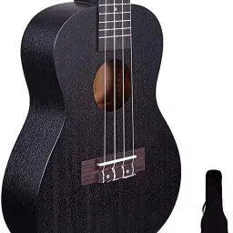 UKSC03-BLK (With Online Classes) Concert Ukulele-19