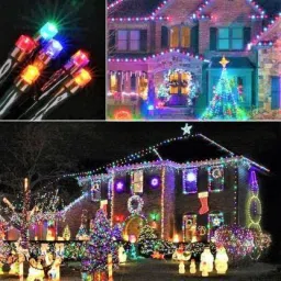 ricky collections 20 LEDs 5.08 m Transparent Color Changing String Rice Lights image 3